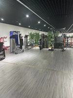 Équipement de fitness de force Gym Équipement de fitness multifonctionnel Assis étirer et plier la jambe machine
