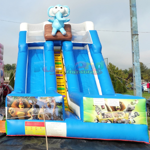 Tobogán inflable Madagascar de calidad comercial para niños, castillo inflable para fiestas al aire libre. - Product Image 4