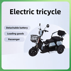 2025 Chine Fournisseur Vente Chaude Haute Qualité 3 Roues Voiture 650W Tricycle Électrique <span class=keywords><strong>Vélo</strong></span> pour Adultes Passager Tricycle Électrique - Product Image 5