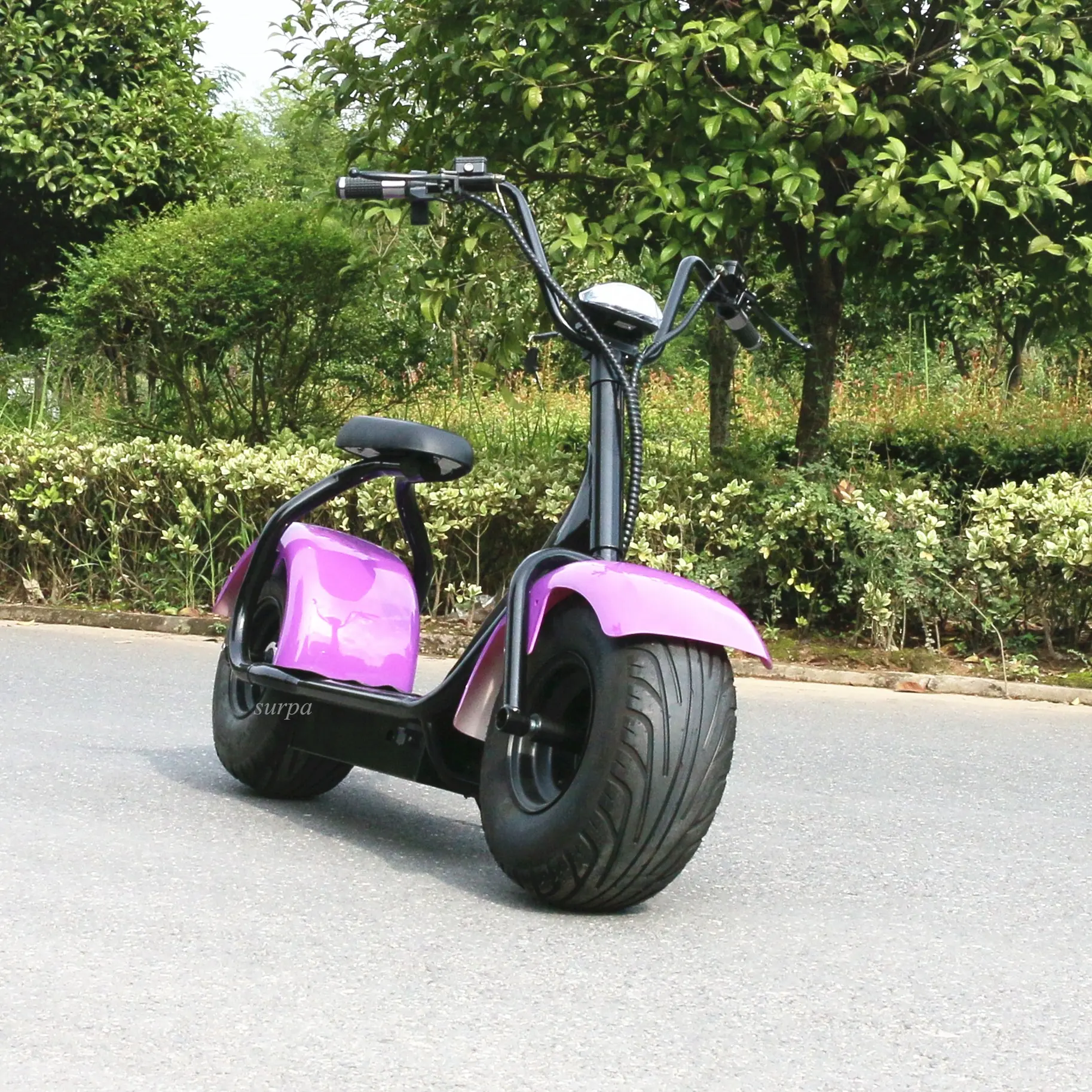 2000W Có Thể Tháo Rời 60v1 2ah/20ah Pin Lithium Chất Béo Lốp Citycoco Electric Scooter 2000W Châu Âu Kho