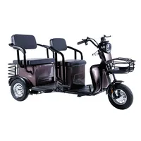 OEM Triciclo Electrico Kargo Elektrik, Tiga Roda Sepeda Motor Listrik Tiga Roda 600W 800W untuk 3 Orang dengan Baterai Lithium