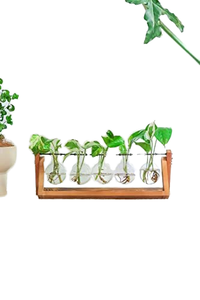 New Retro-Style Planting Hydroponicswith Wooden Stand Air Planter Bulb Vase Home <b>Garden</b> Desktop Propagation Station Used Bonsai - Product Image 3
