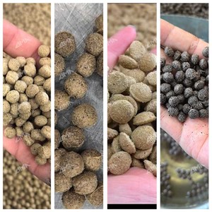 Línea de Producción de Alimento Flotante para Peces a Pequeña Escala <span class=keywords><strong>LIMA</strong></span>, Uso en Granjas, 100 kg/H, Máquina de Alimento para Perros y Gatos, Extrusora de Alimento para Camarones y Peces - Product Image 4