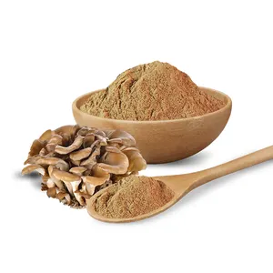 High Quality Health Supplement 30% Beta D Glucan 10:1 Organic Maitake Mushroom Extract Grifola Frondosa Maitake Extract Powder