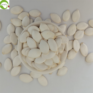 Semillas de Calabaza <span class=keywords><strong>Blancas</strong></span> Secas <span class=keywords><strong>Comestibles</strong></span> Crudas a Precio de Fábrica en China, Gran Oferta - Product Image 2