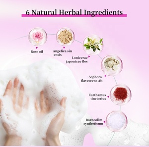 Espuma Limpiadora Íntima Antibacteriana Orgánica <span class=keywords><strong>con</strong></span> Ácido Bórico, Fórmula Hipoalergénica, Marca Blanca Personalizable al por Mayor - Product Image 3