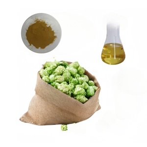 Suplemento al por Mayor ODM OEM, Aceite de Lúpulo 100% Natural, Extracto de Lúpulo en Polvo, Humulus Lupulus en Polvo para Suplementos Naturales - Product Image 1