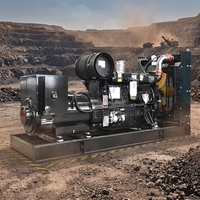 Groupe électrogène diesel 300 kW 375 kVA, type ouvert, triphasé, 50 Hz/60 Hz, station d'alimentation industrielle, ATS, super silencieux, pour l'exploitation minière et les grands projets