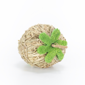 Thỏ Pet Răng Nhai Đồ Chơi Hữu Cơ Tự Nhiên Táo Hình Cỏ Đồ Chơi Lý Tưởng Cho Bunny Chinchilla Guinea Lợn Hamster Răng Grin - Product Image 2