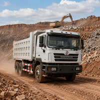 Самосвал Shacman F3000 6x4, 10 колес, 380 л.с., двигатель Weichai 351-450 л.с., б/у, для горнодобывающей промышленности, с задней разгрузкой