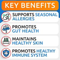 Probiotiques Immunitaires pour Chiens : Soutien des Allergies Saisonnières, Santé Digestive Intestinale, Absorption Rapide, Formule à Ingrédients Limités - Porc