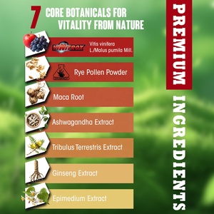 Hochwertiges OEM Maca-Wurzel-Ginseng-Extrakt Kräuterergänzungsmittel für Männer-Energie & Hormonunterstützung 30 Tabletten/Box - Product Image 2