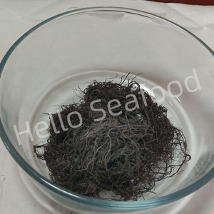 Algues Gracilaria séchées de qualité supérieure soigneusement traitées avec une teneur en humidité minimale - Product Image 4