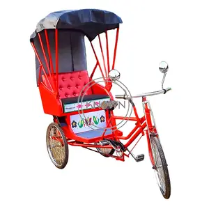 OEM Family Tourist Tricycle Wholesale Adult Passenger Bicycle for Carry Kids Electric Rickshaw Taxi Sightseeing Car