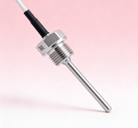 CWDZ03 Star Meter PT100 Temp Transmitter, Probe Baja Tahan Karat Industri, Tahan Air IP68 Akurasi Tinggi Layanan Kustom OEM ODM