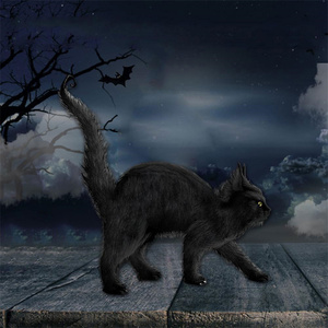 Peluche de chat noir réaliste en polyéthylène, 40 cm, grand accessoire de Cosplay, en forme d'animal dur, jouet effrayant, nouveauté - Product Image 6