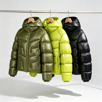 Veste d'hiver matelassée vintage pour homme, en nylon enduit, avec capuche, 90% duvet, fermeture éclair, coupe-vent