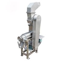 Extracteur de jus de carotte en spirale en acier inoxydable, presse-fruits à vis avec broyeur 3000W 500kg/h