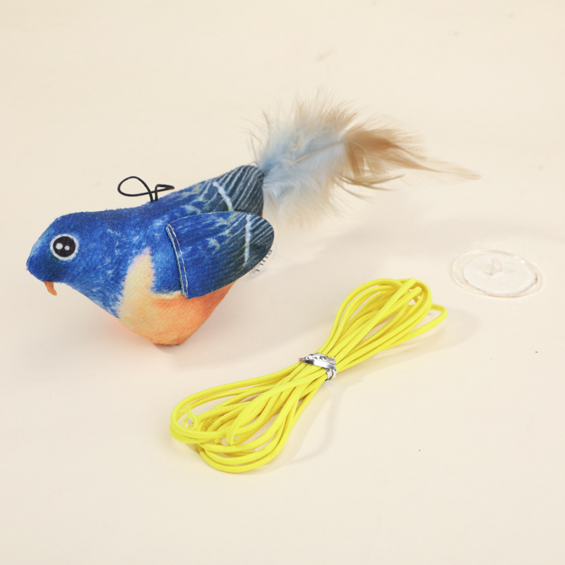 Robin bleu
