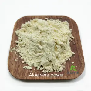 Estratto di foglie di Aloe Vera sfuso all'ingrosso 200x 100x Gel di Aloe Vera polvere liofilizzata