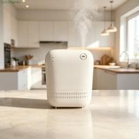 Diffuseur d'arômes automatique AE109 150 ml mural à piles, nébuliseur à air froid pour huiles essentielles, idéal pour hôtels et usines