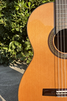 Aiersi Brand Music Musical Instruments all solid Cedar Top 7-String Classical Guitar with High Quality for Sale