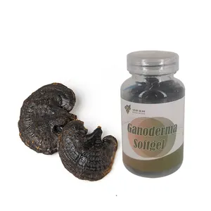 Bestseller Produkte Reishi Pilz Ganoderma Sporen Extrakt Pulver Kapseln