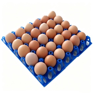Plateau à œufs antichoc pour 30 œufs de canard ou de poule, en plastique, pour le transport, <span class=keywords><strong>prix</strong></span> abordable - Product Image 2