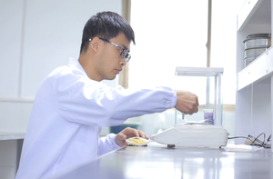 대량 공급을 위한 순수 엘루테로사이드-시베리아 인삼 뿌리 추출물 - Product Image 6