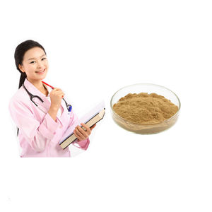 Extrait de Mycélium de Polypore Sylvestre Naturel en Poudre, Extrait du Corps Fruité de Piptoporus Betulinus, Polysaccharide 30% - Product Image 6