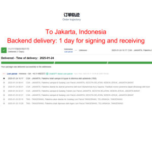 Быстрая и недорогая экспресс-доставка грузов: экспедитор, агент по логистике из Китая в Индонезию, доставка до двери - Product Image 5