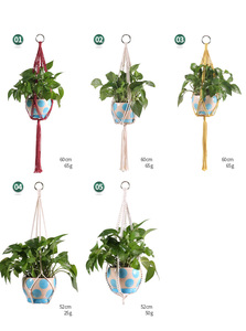 Haute qualité coton corde macramé plante cintres porte-<span class=keywords><strong>Pot</strong></span> <span class=keywords><strong>de</strong></span> <span class=keywords><strong>fleur</strong></span> bricolage Boho décor intérieur - Product Image 6