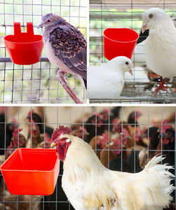 Qa nhiều loại nhựa gia cầm uống gà thức ăn cốc LỒNG CHIM Cốc trung chuyển chim bồ câu trung chuyển - Product Image 6