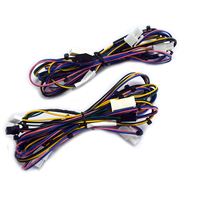 Arnés de Cableado Personalizado para Máquinas de Juegos Arcade con Cables Multicolor y Conectores Molex para Gabinetes que Funcionan con Monedas