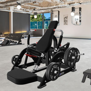 Gym Fitness Equipment Commercial Low Back Trainer avec plaque chargée Divisé Motion Trainer - Product Image 3