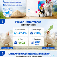 Suppléments de vitamines de qualité alimentaire pour la croissance rapide des poulets, des poulets de chair et des volailles – Lysine et Méthionine pour l'engraissement et l'alimentation animale