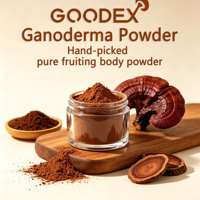 GOODEX Poudre de corps fruitaire de Ganoderma Lucidum de qualité alimentaire, séchée à l'air chaud, approvisionnement direct usine et expédition directe de la ferme forestière