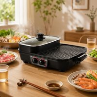 Plaque de cuisson électrique professionnelle pour la maison, vente en gros, poêle à frire et à griller tout-en-un, barbecue automatique pour usage extérieur et hôtelier
