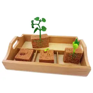 Mô Hình Gà Cá Hồi Ếch Mật Ong Ong Vua Bướm Vòng Đời Bằng Gỗ Sắp Xếp Khay Sinh Học Montessori