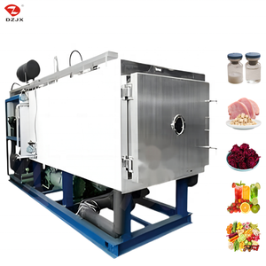 DZJX 1 5 10 50 100 500 1000 Kg Alimentaire Bonbon Chips De Fruits Crème Glacée Lyophilisateur Sous Vide Lyophilisateur Machine À Bonbons Lyophilisés - Product Image 3
