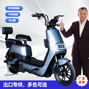 Modèle Golden Bull ------ Vélo électrique à gros pneus, vélo cargo électrique, moto électrique, moto électrique adulte, vélo électrique 500w - Product Image 3