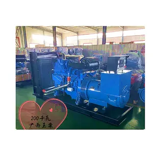 200kva Diesel Genset 160kw Elektrische Generator Met Cum Mins Motor