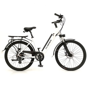 Vente chaude 250W 36V rétro vélo électrique intelligent électronique batterie au Lithium puissance moteur sans balais support arrière pour dames hommes - Product Image 2