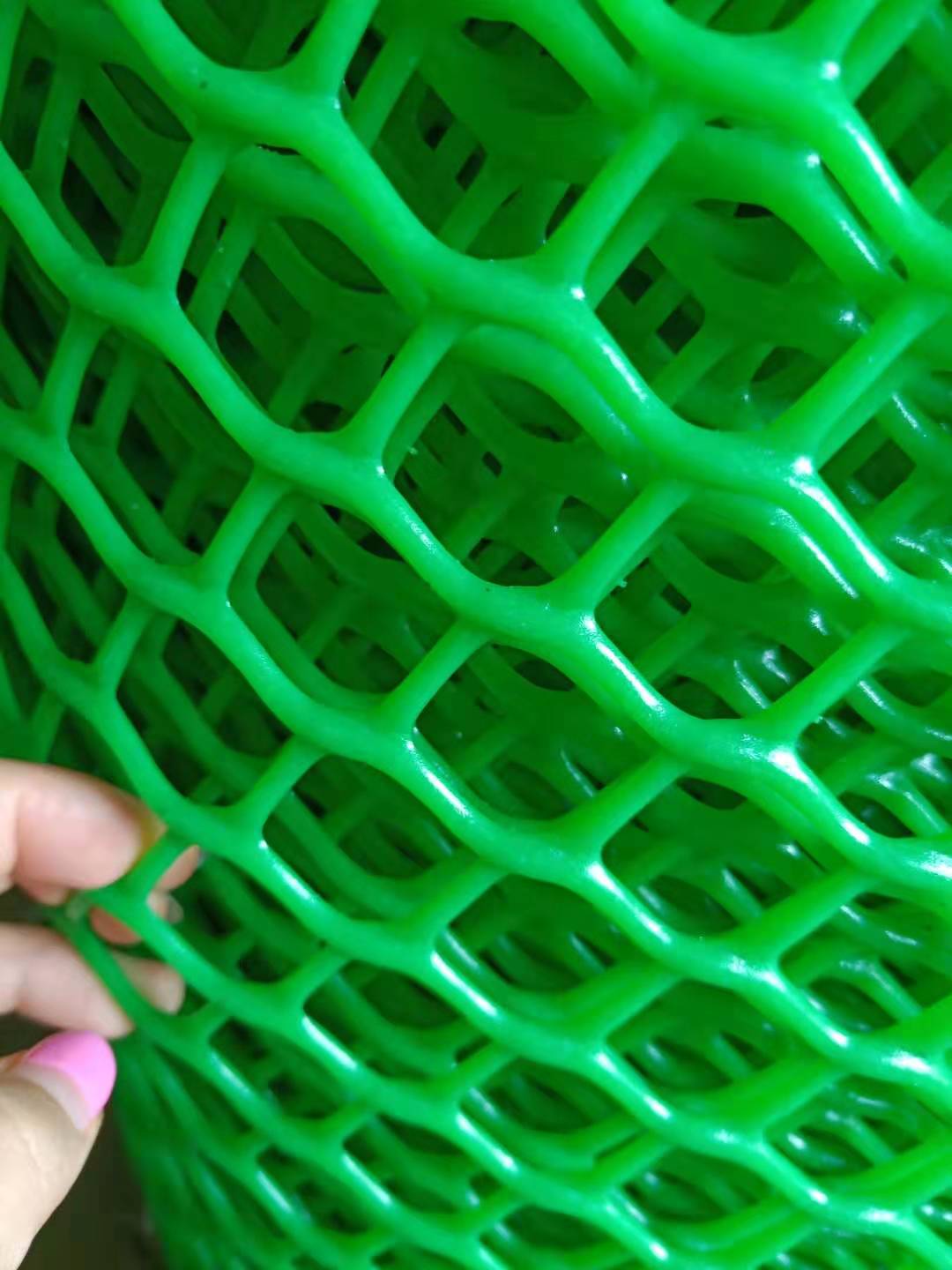 VERT