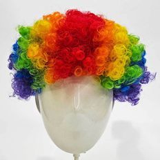 Parrucca Kopts con capelli papavero strega a quattro pezzi - Product Image 1