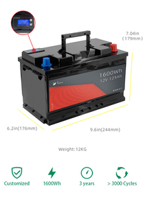 Lifepo4 <span class=keywords><strong>batterie</strong></span> de démarrage longue durée Recharge haute CCA 12.8V 100ah 12V 100ah 150ah 120ah voiture japonaise/véhicules américains 1280wh - Product Image 2