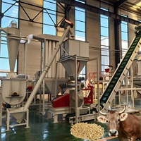 Ligne de production automatisée de moulin à aliments pour porcs de 1 à 2 tonnes/h pour aliments pour volailles et bovins, entrepôt nigérian