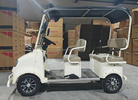 Quadricycle électrique d'usine à quatre roues motrices, voiturette de golf électrique 60V, vélo électrique de tourisme avec auvent