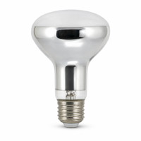 Lampe chauffante pour animaux de compagnie sans lumière, UVA UVB R95 80W 100W, ampoule universelle
