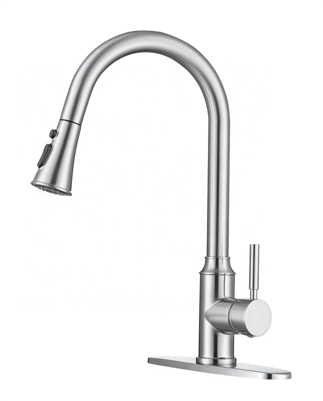kitchen mixer double tap